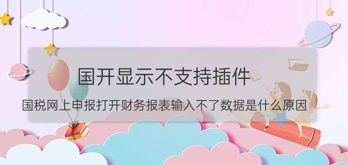 国开显示不支持插件 国税网上申报打开财务报表输入不了数据是什么原因？